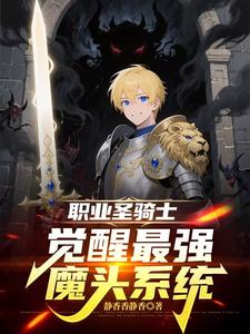 A Professional Paladin: Awakening the Strongest Evil System cover