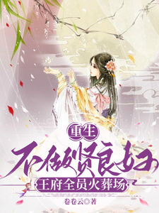 重生不做贤良妇，王府全员火葬场 cover