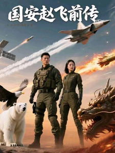 国安赵飞前传 cover