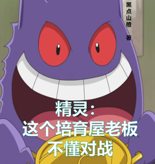 精灵:这个培育屋老板不懂对战 cover