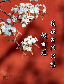 我在古代只想做女冠 cover