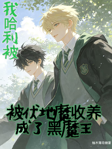 我哈利被伏地魔收养后成了黑魔王 cover
