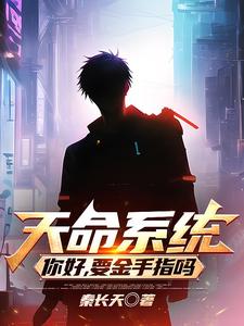 天命系统 cover