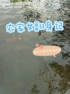 农家女翻身记 cover