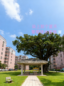 染上那个夏天 cover