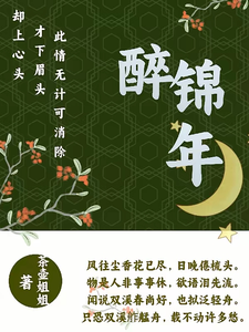 醉锦年 cover