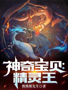 神奇宝贝:精灵王 cover