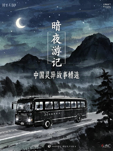暗夜游记：中国灵异故事精选 cover