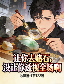 让你去赌石,没让你透视全场啊 cover