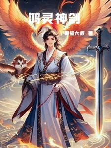 鸿灵神剑 cover