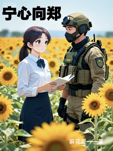宁心向郑 cover