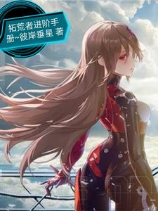 拓荒者进阶手册 cover