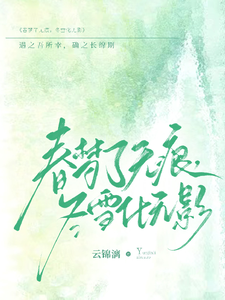 春梦了无痕，冬雪化无影 cover