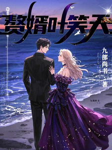 赘婿叶笑天 cover