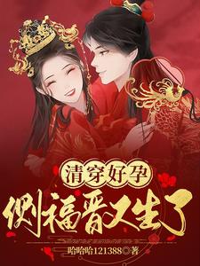 清穿好孕：侧福晋又生了 cover