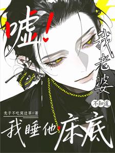嘘！我老婆不知道我睡他床底 cover