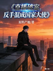 直播破案，反手混成国家大使 cover