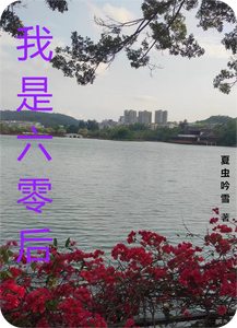 我是六零后 cover