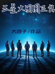 三星大团圆正传 cover