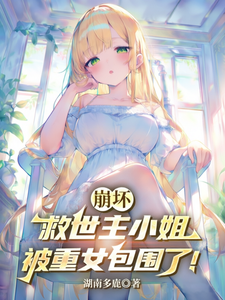 崩坏:救世主小姐被重女包围了! cover