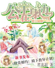 史上最强：公主在身边 cover