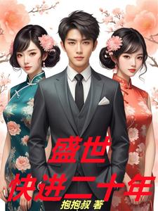 盛世快进二十年 cover