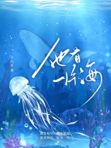 他有一片海 cover