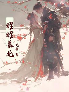 昭昭慕北 cover