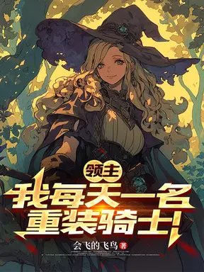领主:我的骑士无限增加