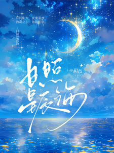 日照星沉海 cover