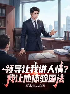 领导让我讲人情?我让他体验国法 cover