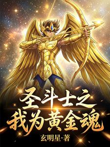 我为黄金魂 cover