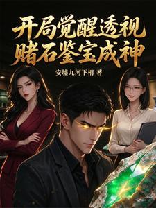 开局觉醒透视,赌石鉴宝成神 cover