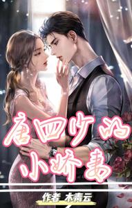 唐四少的小娇妻 cover