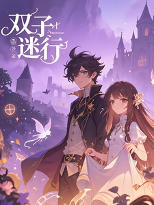 双子迷行 cover
