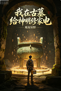 我在古墓给神明修家电 cover