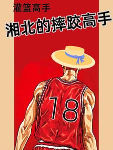 灌篮高手:湘北的摔跤高手 cover