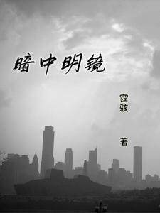 暗中明镜 cover