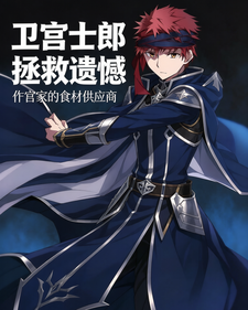 卫宫士郎拯救遗憾 cover