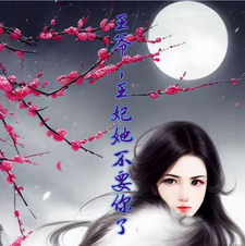王爷，王妃她不要你了 cover