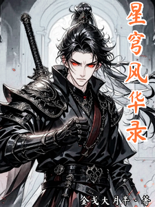 星穹风华录 cover