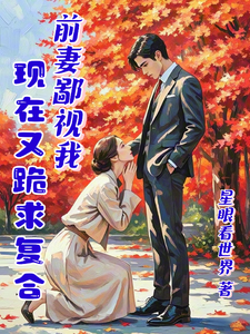 前妻鄙视我,现在又跪求复合 cover