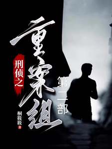 刑侦之重案组第二部 cover