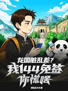 龙国脏乱差?我144免签你慌啥 cover