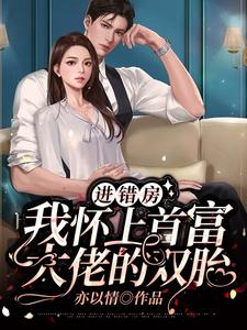 进错房，我怀上首富大佬的双胎 cover
