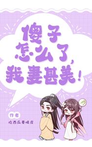 女扮男装：傻子怎么了，我妻甚美 cover