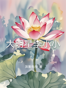 大明星李小小 cover