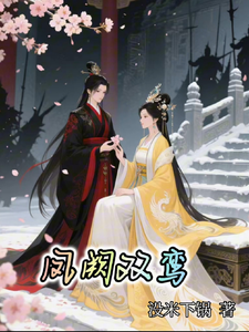 凤阙双鸾 cover