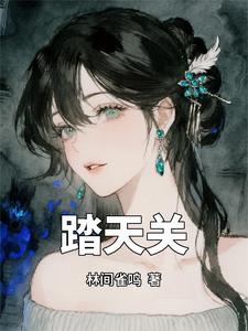 踏天关 cover