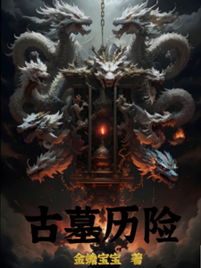 古墓历险 cover